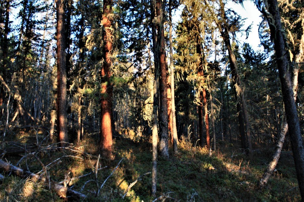 Photograph by Сергей Часовских