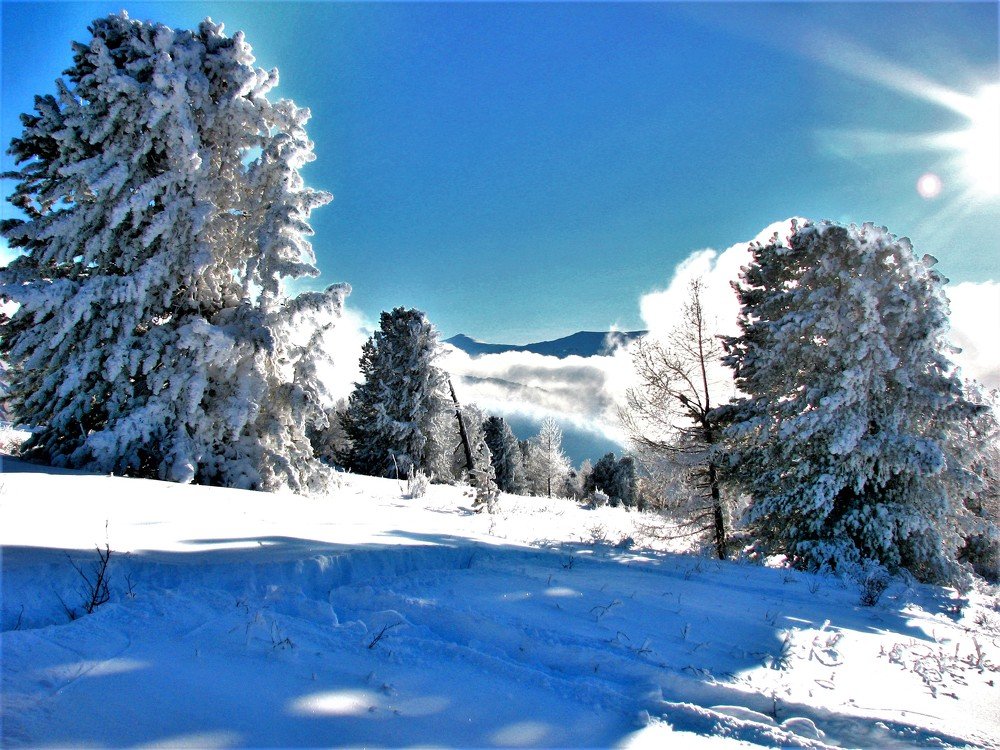 Photograph by Сергей Часовских