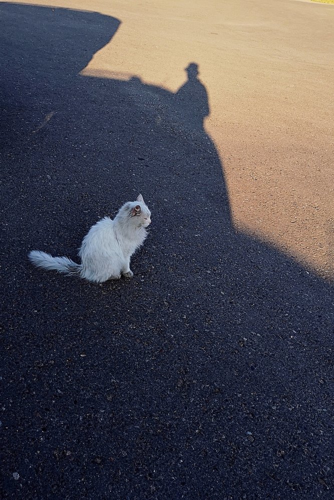 Инь...Янь...Тень...Июнь...