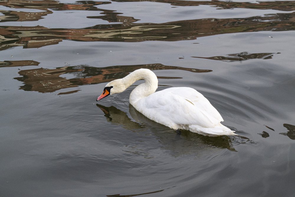 Photograph by Юлия Водонос