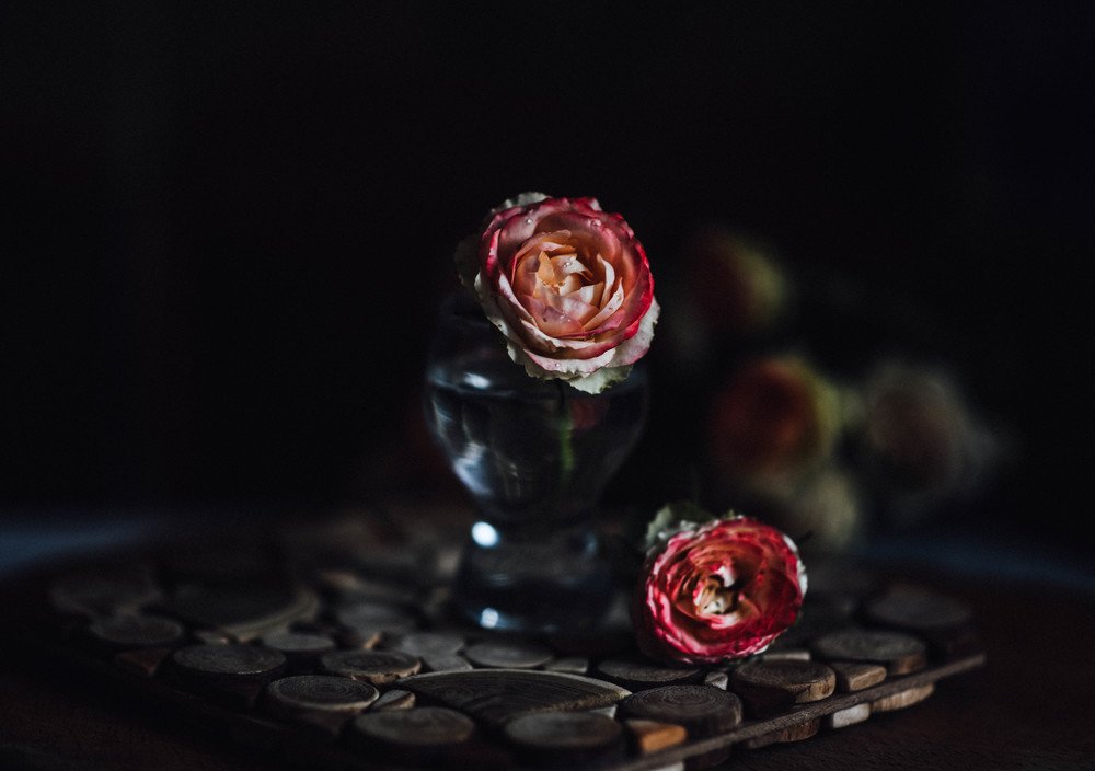 Photograph by Виктория Белоусова