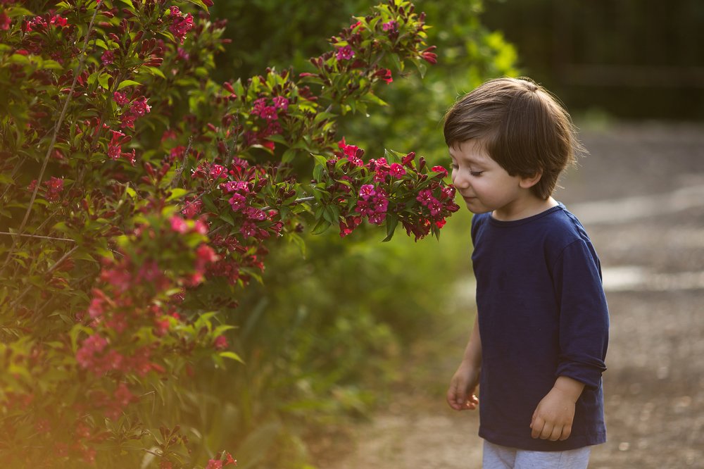 Photograph by Elena Gavrilchik