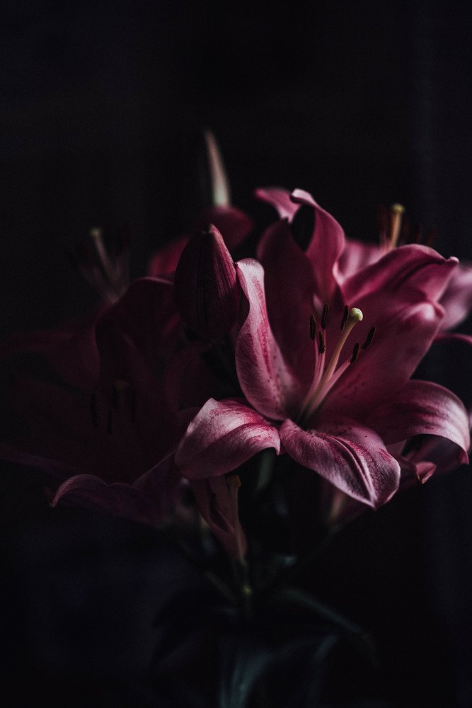 Photograph by Виктория Белоусова