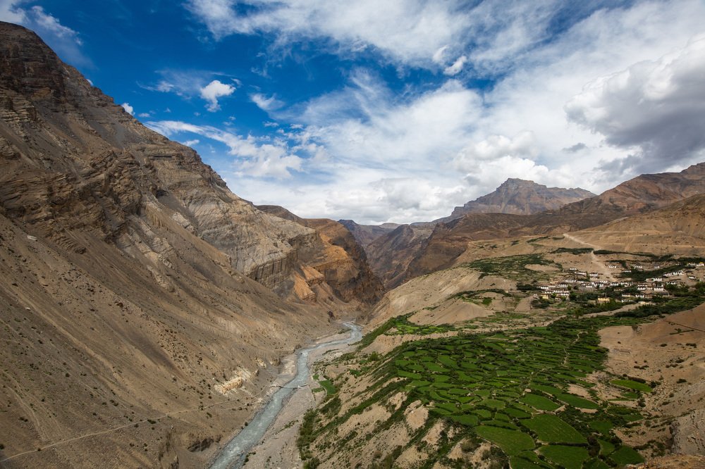Pastures in barren lands