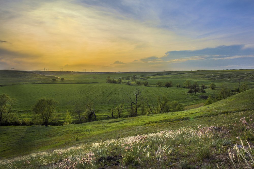 Весна пришла