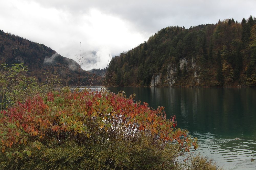 Photograph by Наталия Языкова