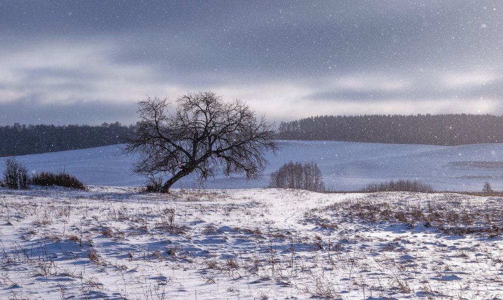 Воля к жизни...