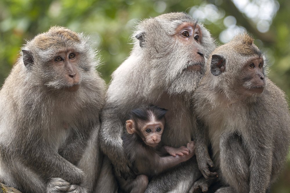 Photograph by Дмитрий Юдин