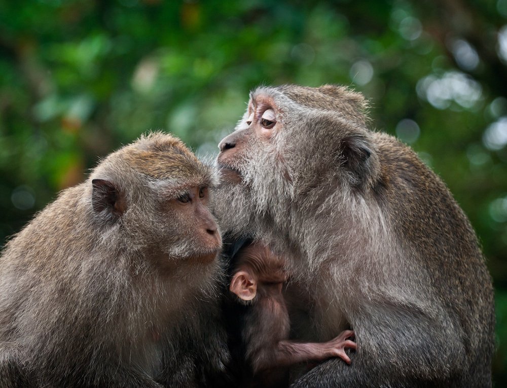 Photograph by Дмитрий Юдин