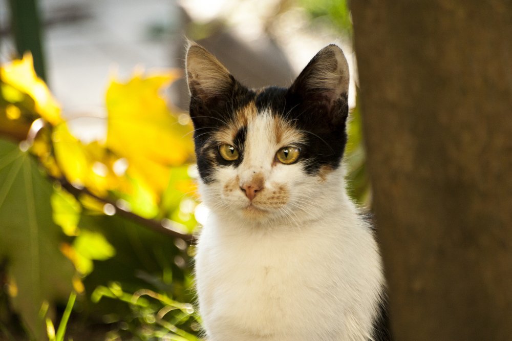 Photograph by Виталий Шабуров