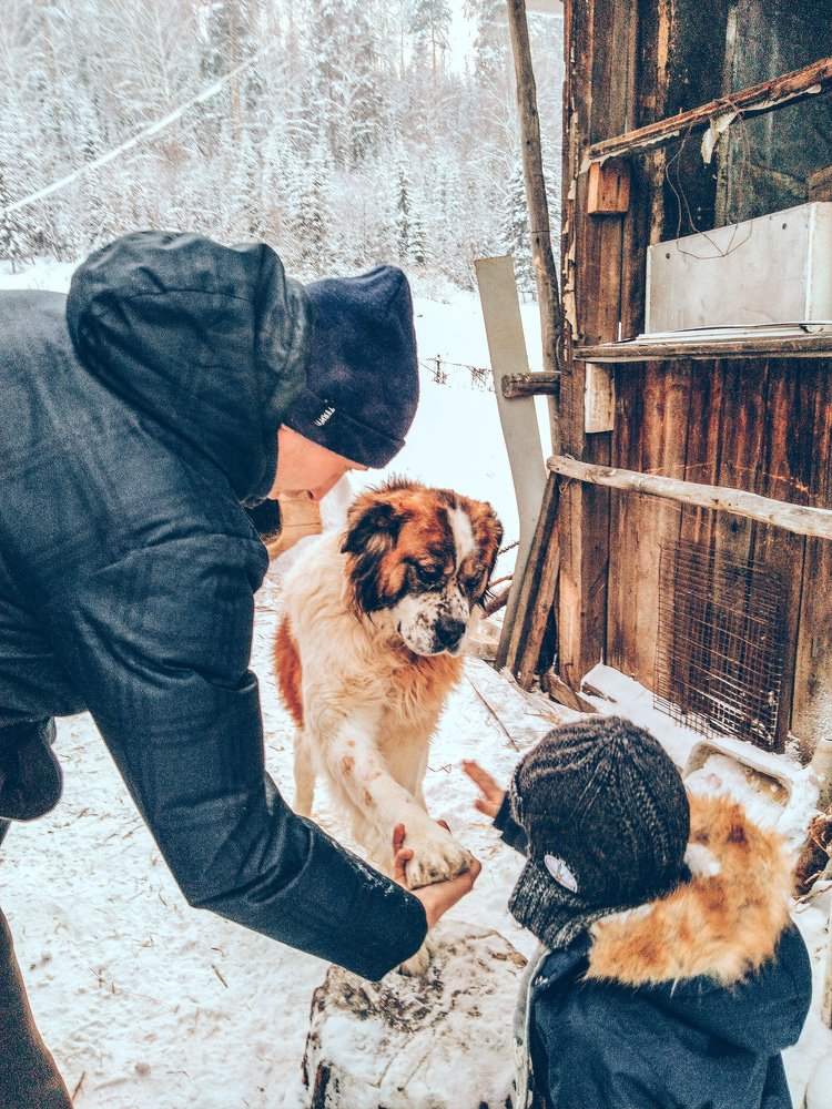 Photograph by Марина Чусова