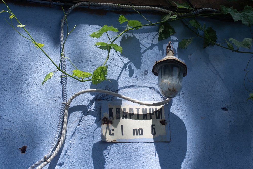Photograph by Oksana Roldugina