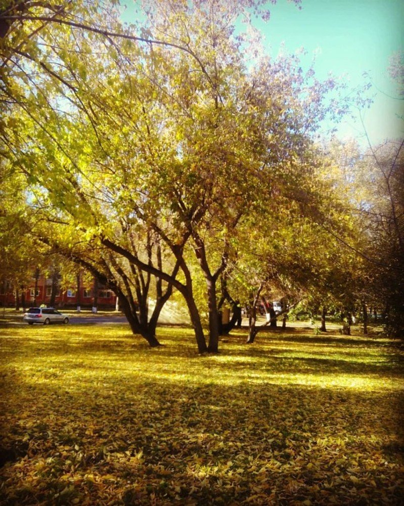 Photograph by Юлия Гагарина