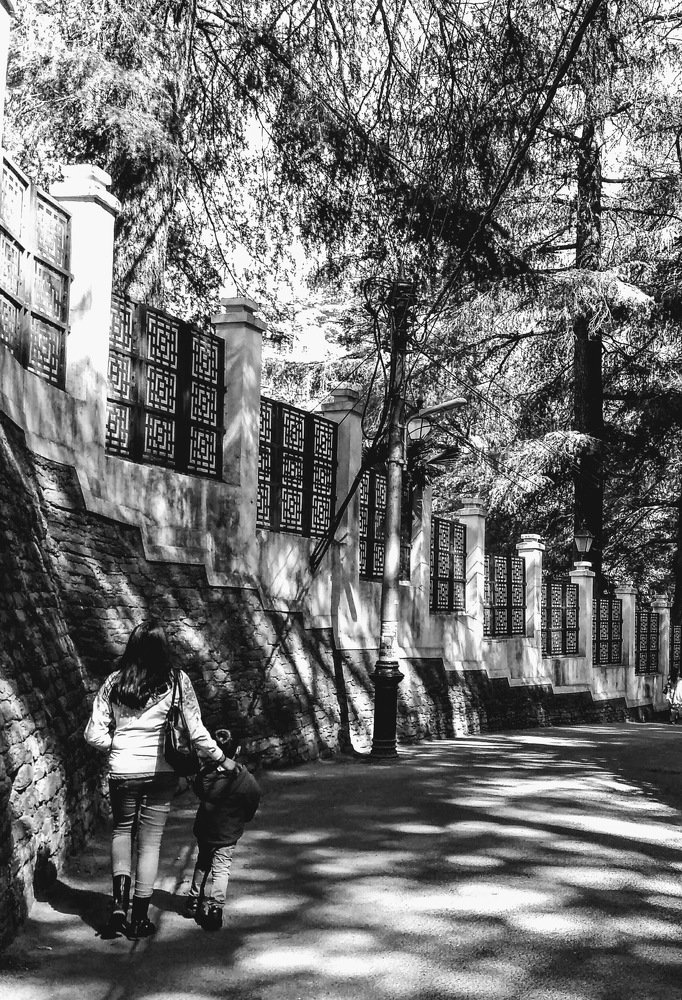 Photograph by Rajesh Chaudhary