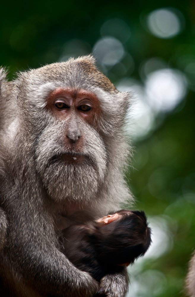 Photograph by Дмитрий Юдин