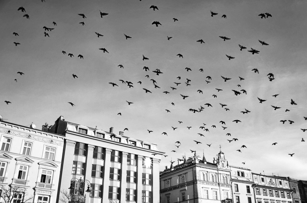 Фотография автора Анастасия Пищулова