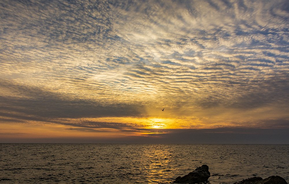 Photograph by Александр Пушкарев