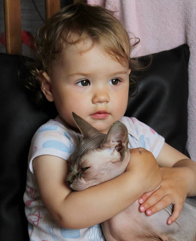 Photo #4235179