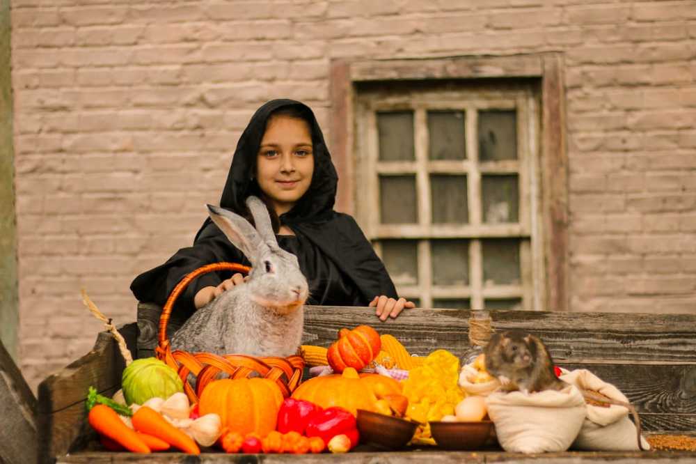 Photograph by Саманта Начкебия