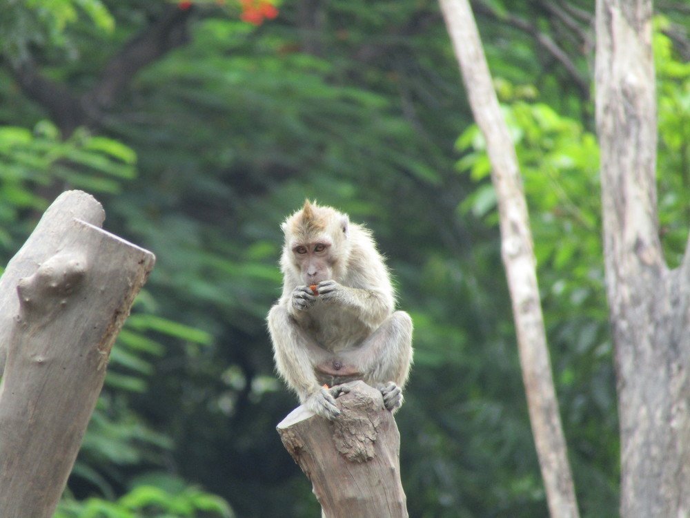 Photograph by Ines Wasi