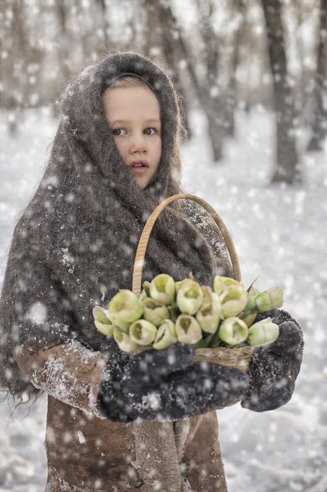 Фотография автора Шутенкова Евгения