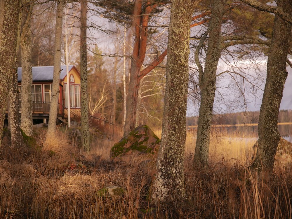 Heoбычный январь