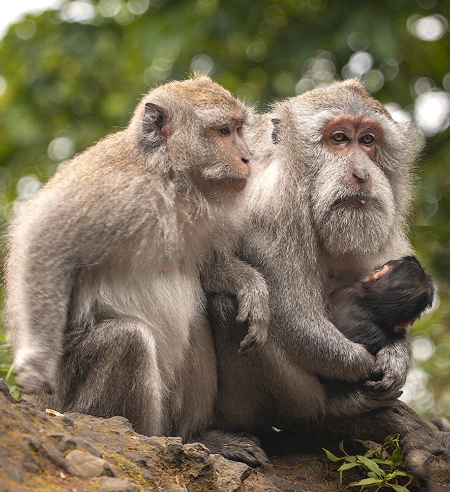 Photograph by Дмитрий Юдин