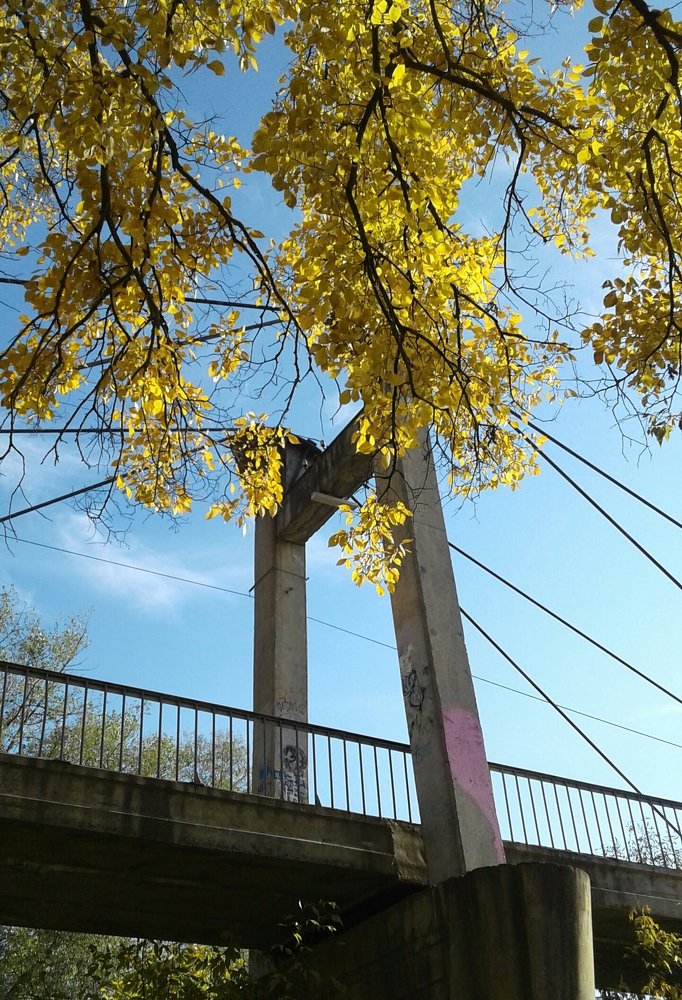 Photograph by Никитина Анна