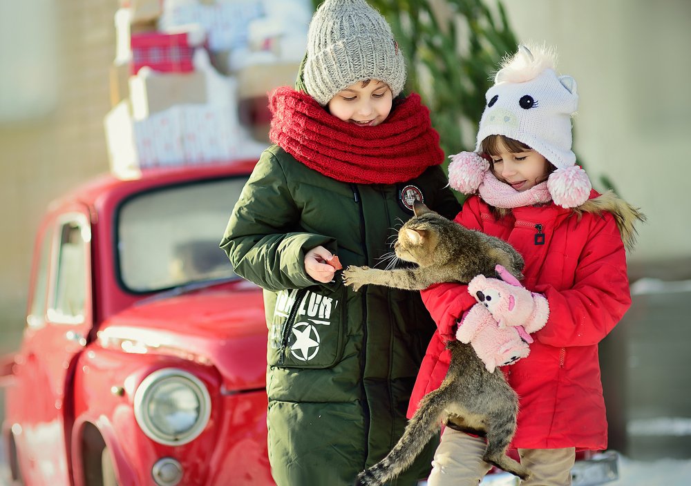 Photograph by Раевская Елена