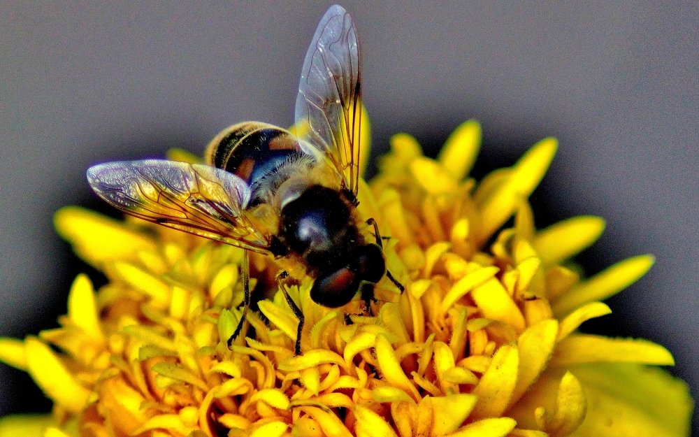 Photograph by Анна Восковых