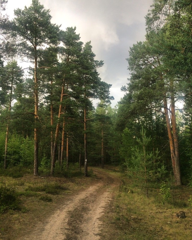 Photograph by Олег Нагалко