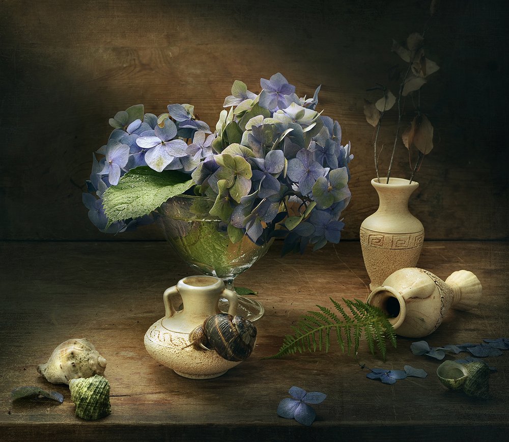 Photograph by Шипунова Ирина