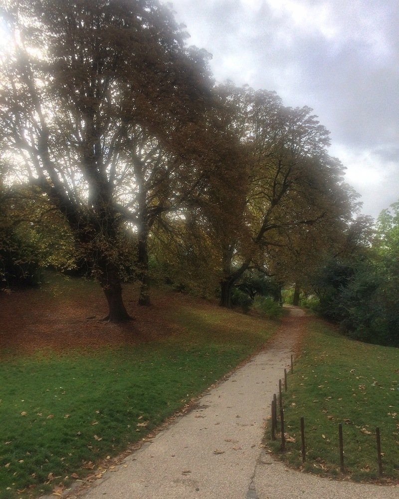 Photograph by Анна Гусарова