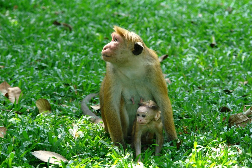 Photograph by Евгения Бочарова