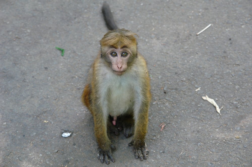 Photograph by Евгения Бочарова