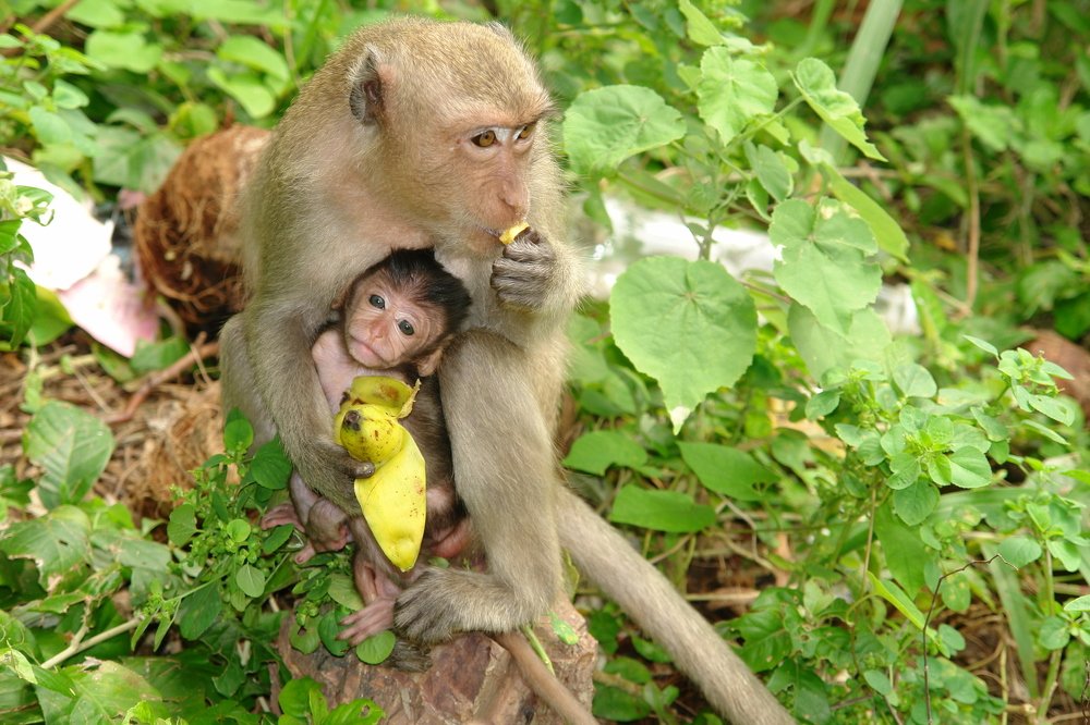 Photograph by Евгения Бочарова