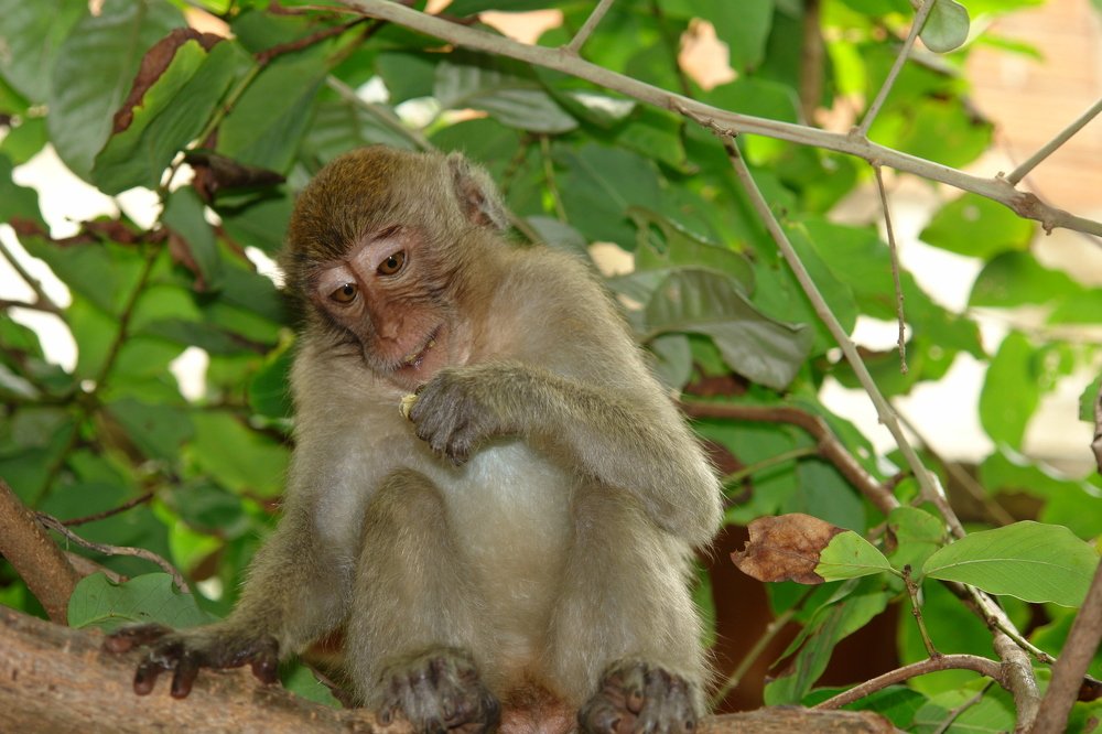 Photograph by Евгения Бочарова