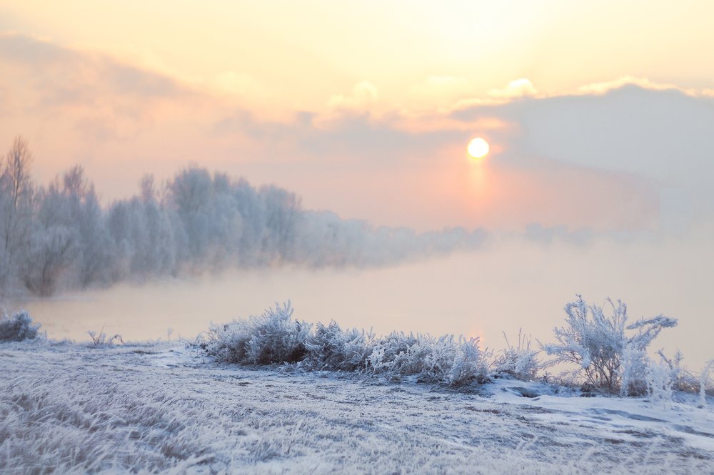 Photograph by Gerasimova Darina