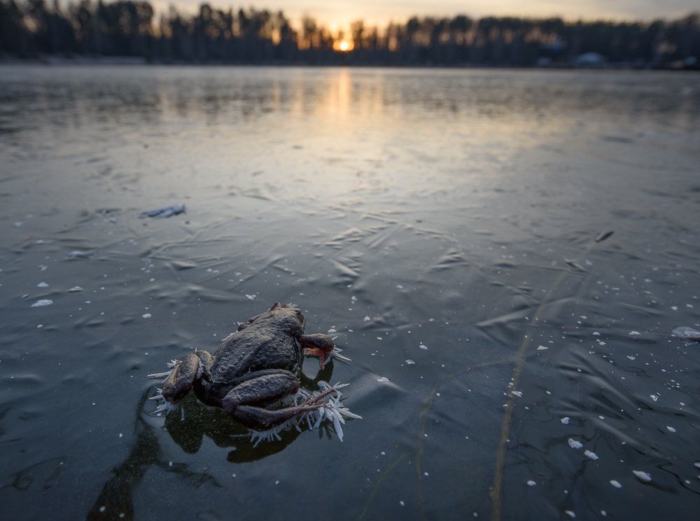 Photograph by Света и Вася
