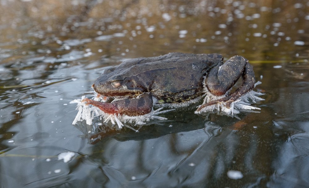 Photograph by Света и Вася