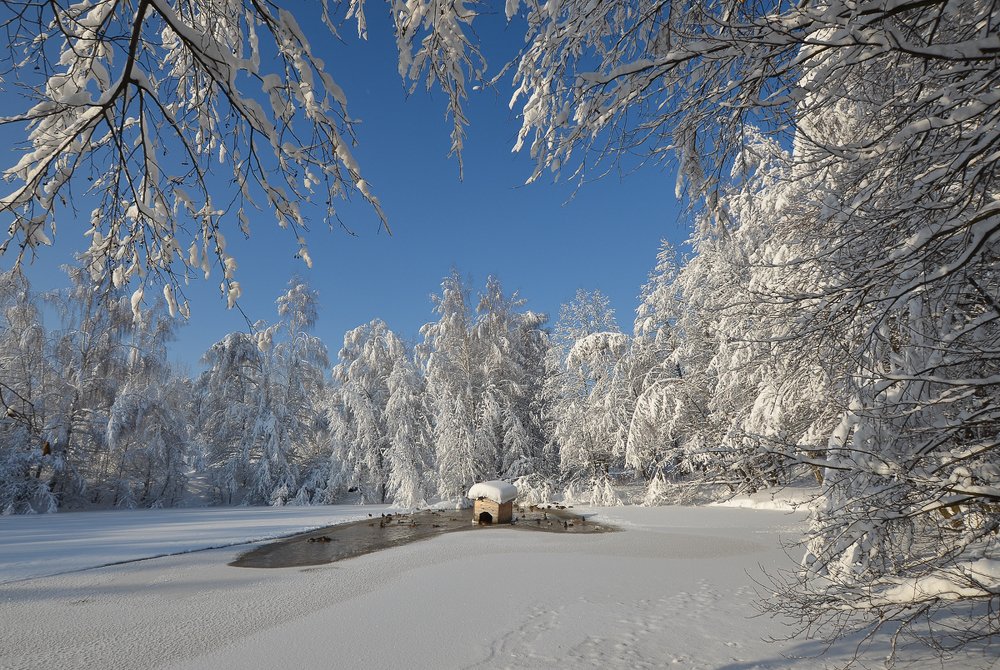 Photograph by Света и Вася