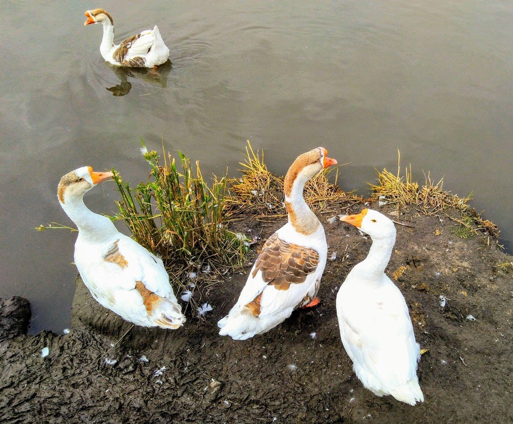 Photograph by Марина Чусова