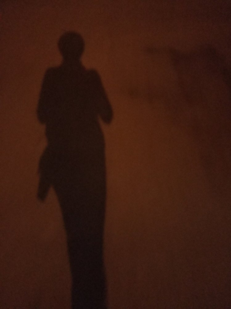 Фотография автора Adel elqamhawi Mohamed