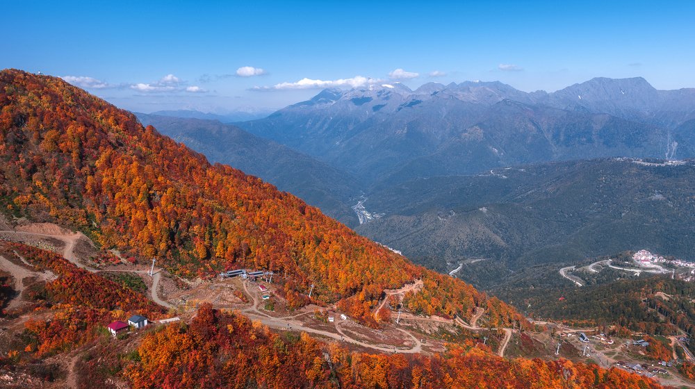 Фотография автора Анастасия Мазурева