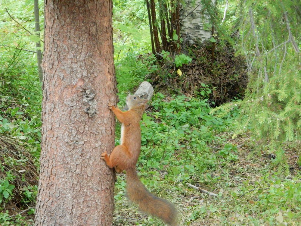 Photograph by Дмитрий Уторин