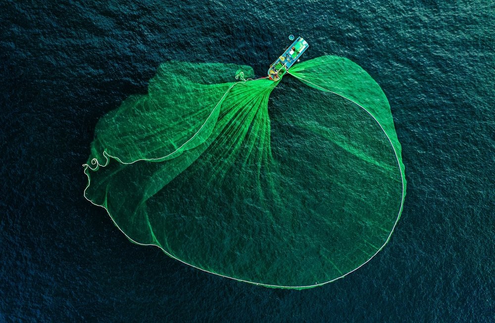 Photograph by Hong Nguyen