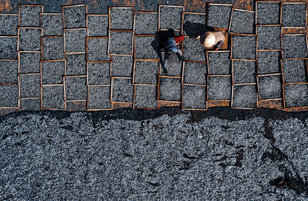 Photograph by Hong Nguyen