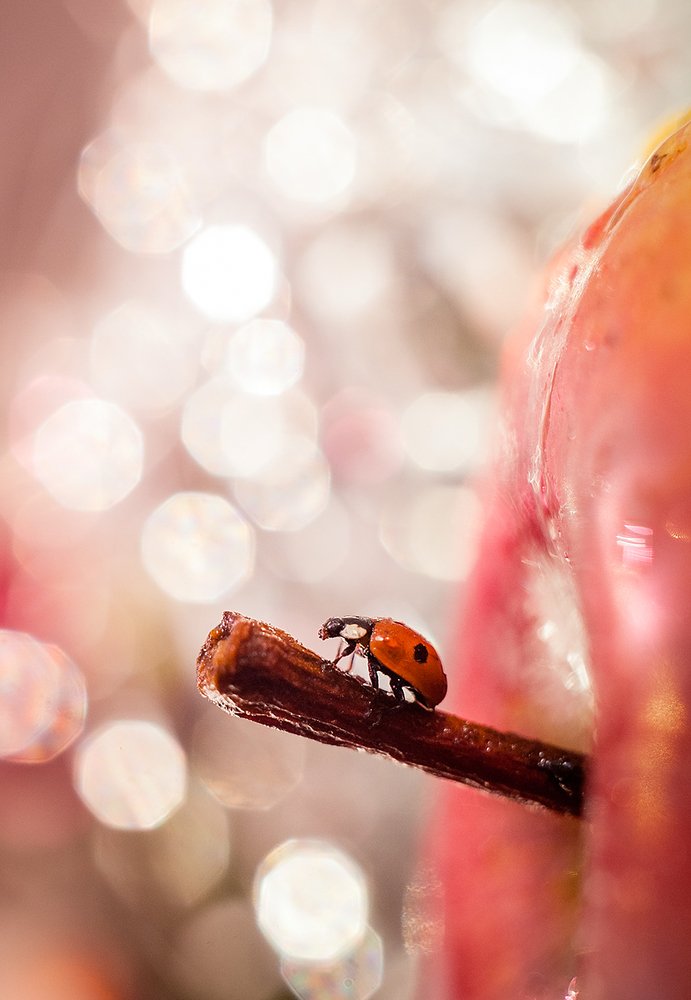 Хочу весны!