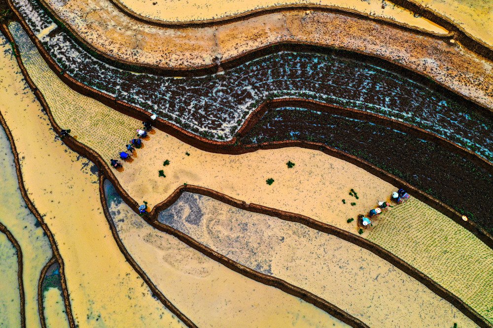 Photograph by Hong Nguyen