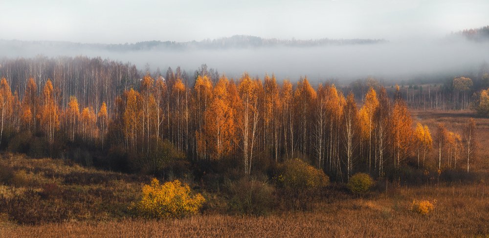 Фотография автора Майя Афзаал